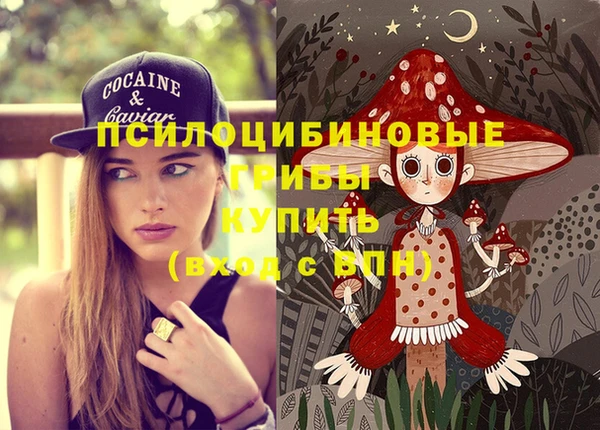 2c-b Каменка