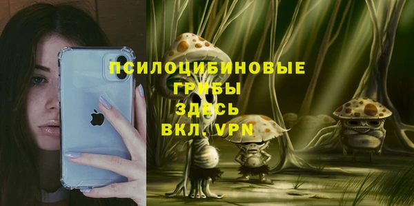 эйфоретик Алзамай